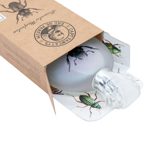 Hajuvesi Alessandro Manfredini