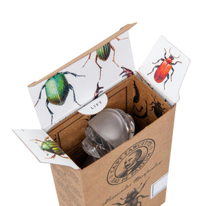 Hajuvesi Alessandro Manfredini